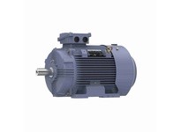 Marathon R440 TCA18P2AP211GAA009 18.5KW-25HP 1800 TEFC 180M | High-Performance Motor