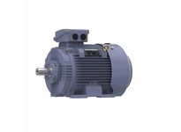 Marathon R446 TCA0302AP211GAA009 30KW-40HP 1800 TEFC 200L 3/60/575