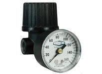 Dixon R46-200RG Series 1 Non-Repairable General Purpose Regulator