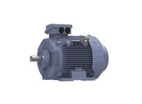 Marathon R504A 55KW-75HP, 1800, TEFC, 250M, 3/60/230/460 | YarinInd