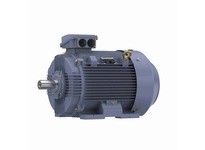 Marathon R506B TCA0751AE211GAA009 75KW-100HP 3600 TEFC Motor | High Performance