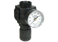 Dixon R73G-2RG Series 1 FRLs R73-Series Compact Regulator With Gauge