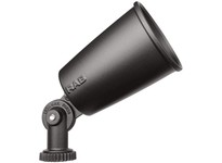 RAB R90A FLOOD ECONOMY 150W PAR38MAX BRONZE