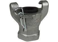 Dixon RAM3 Air King® 2-Lug Female NPT End | YarinInd