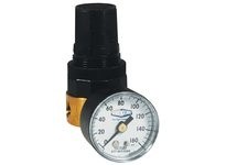 Dixon RB3-02RG Wilkerson FRLs RB3-Series Miniature Water Regulator