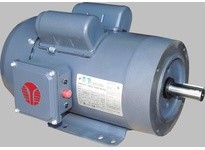 Techtop RD1-RS-TF-56-4-B-C-.75 .75HP 1800RPM 115/208-230V 56 TEFC