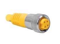 TURCK RKV 36-2M Cordset 3 Pin Female U5132-1
