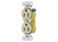 Hubbell Wiring RR15EQITR RCPT DUP TR 15A 125V Q-P | YarinInd