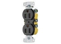 Hubbell Wiring RR15QBKTR RCPT DUP TR 15A 125V QCK-PLT BK | YarinInd