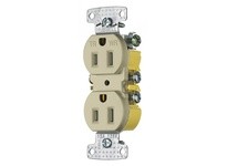 Hubbell Wiring RR15SIWRTR RCPT DUP WRTR 15A 125V IV | Industrial Supplies