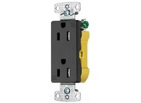 Hubbell Wiring RRD15EBKTR RCPT DUP DEC TR 15A 125V | YarinInd