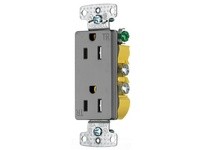Hubbell Wiring RRD15SGYTR RCPT DUP DEC TR 15A 125V | YarinInd