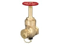Dixon RWDGV250F Rising Stem Wedge Disc Gate Valve | High-Quality Industrial Valve