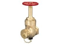 Dixon RWDGV3025F Rising Stem Wedge Disc Gate Valve