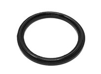 Flowtrend 112336 S216-25B-SFY C+216 Impeller Back Gasket FPM 25B | YarinInd