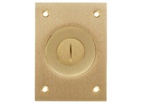 Hubbell Wiring S2425 F-BOX CVR RECT (2-1/8"X 3/4") BRS