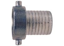 DIXON S62 6 KING FEMALES