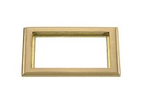 Hubbell Wiring SB3084 CARPET FLANGE 2-G RECT BRS