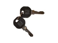 Saginaw Control SCE-K333 Keys Set of 2 Replacement | YarinInd