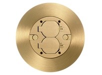 Hubbell Wiring SF39253A COMBO CVR/FLANGE RND-PFB1 BRS DUP FLAP