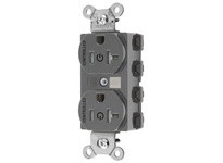 Hubbell Wiring SNAP5362C2GYTRA 2/2 SNAP CONTROLLED 20A 125V TR DUP GY | Industrial Supplies