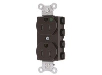 Hubbell Wiring SNAP8200TRA S-CONNECT DUP HG 15A/125V TR BR | YarinInd