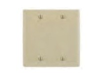 Hubbell Wiring SP24BG PLATE 2-G BLANK BOX MT STEEL | YarinInd