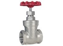 Dixon SSGV200 Stainless Steel Gate Valve | Durable & Reliable