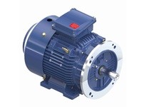 Marathon R833 TCA0111AE231GAA009 11KW-15HP 3600 TEFC 160M 3/60/230/460