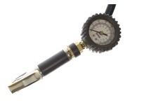 Coilhose TGC1348 Dial Inflator 0-160 psi W Dual Foot Chuck 12"