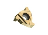 Pramet TN 22EL060ACME:T8030 6755362 Threading Insert | YarinInd