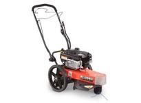 Generac TR47187BEN TR4 8.75 FPT B&S ES