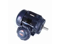 Marathon U034A Model#: 365TTGS16542 HP: 75 RPM: 1800 Frame: 365T Enclosure: EPFC Phase: 3 Voltage: 575 HZ: 60This model has 75 h