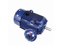 Marathon U091A Model#: 449TTGS16585 HP: 200 RPM: 1200 Frame: 447/449T Enclosure: EPFC Phase: 3 Voltage: 460 HZ: 60This model has