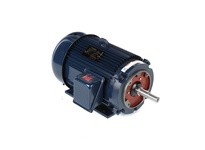 Marathon U354A 256TTFL16042 20HP 1800RPM 256JM Frame | YarinInd