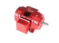 Marathon U500A 256TTDBD4024 25HP 3600RPM 256T Frame | YarinInd