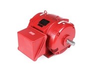 Marathon U526A 365TSTDCD4025 100HP 3600RPM 365TS Frame | YarinInd