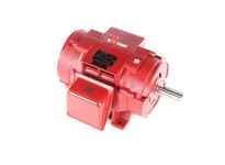 Marathon U595 286TTDBD14042 30HP 1800RPM 286T frame drip proof 3 phase 190/380-400 volt 60 hertz electric motorThis model has 30