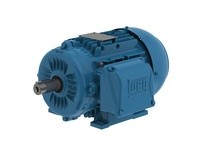 WEG 02209ET3Y225S/M-W22 IE3 30 HP 8P 225S/M 3Ph 460//380-415 V 60 Hz IC411 TEFC B3L(E) Three Phase Induction Motor