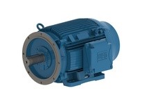 WEG 02218ET3Y180LFF-W22 22kW 3600 3 60//50 460 IEC-CI