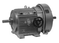 TBWOODS V006B1A01 OUTPUT ROTATING GROUP HSV/16B