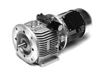 TBWOODS V30B-3001 HSV-A4 NEMA OUTPUT FLANGE | YarinInd