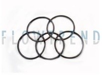 Flowtrend 124066 V50228 O-Ring FDA FPM/FKM