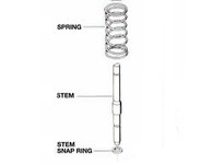 Bell & Gossett V50922 STEM | YarinInd