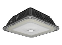 RAB VAN17-30/E VAN17 30/25/20W 8"X8" FIELD ADJUSTABLE 3000K/4000K/5000K PHOTOCELL BATTERY BACKUP BRONZE