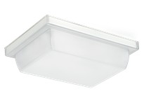 RAB VAN1LED12NW VANLED VANDALPROOF 12W 4K LED Ceiling Mount | YarinInd