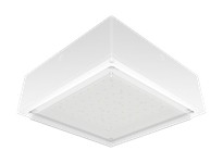 RAB VANLED20FRW VANLED 20W 5000K Drop Frosted Lens | High-Quality Lighting