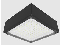 RAB VANLED20N/E2 VANLED 20W 4K DROP CLEAR 0-10V Bronze Emergency Battery Backup | YarinInd