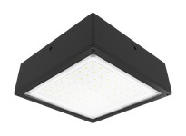 RAB VANLED65NF VANLED 65W 4000K Flat Clear Lens 120-277V 0-10V Bronze