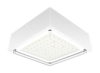 RAB VANLED65W VANLED 65W 5000K Drop Clear Lens 120-277V | High-Quality Lighting